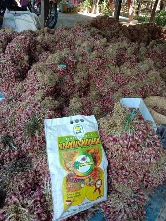 WA 0857 9711 6827 Cari  Pupuk Organik Granule Nasa di 
Maluku Tengah  