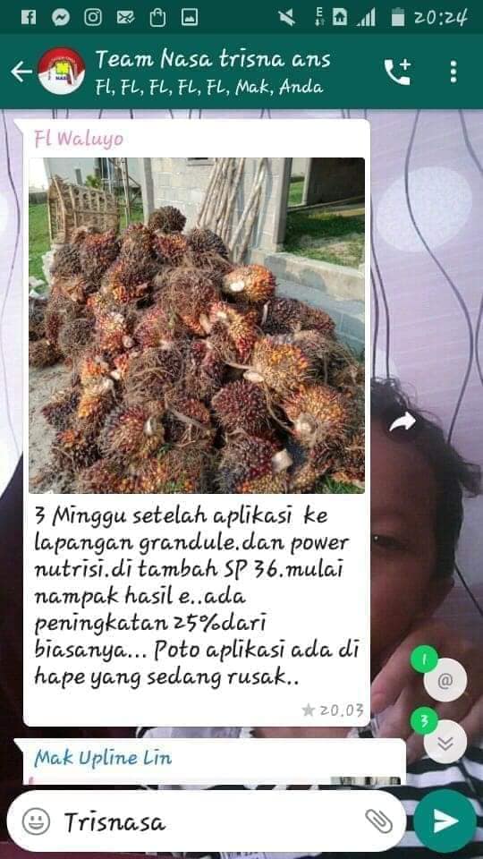 WA 0857 9711 6827 Distributor  Pupuk Organik Granule Nasa di 
Gorontalo