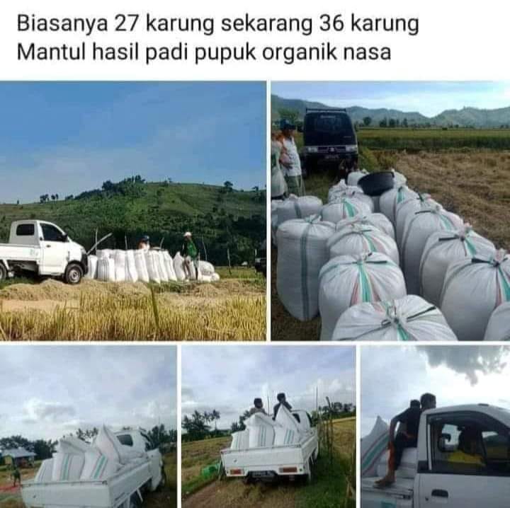 WA 0857 9711 6827 Pabrik  Pupuk Organik Granule Nasa di 
Bandar Selamat, Medan Tembung, Medan