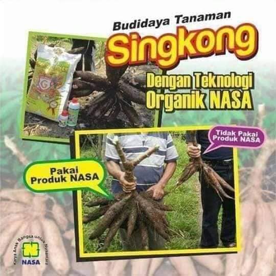 WA 0857 9711 6827 Reseller  Pupuk Organik Granule Nasa di 
Bombana