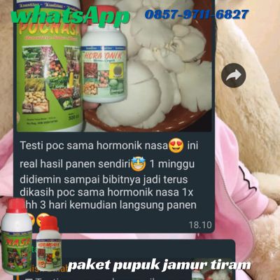 Agen Nasa Jual Pupuk Jamur Tiram Putih di Singaparna