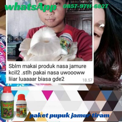 Agen Nasa Jual Pupuk Jamur Tiram di Jakarta