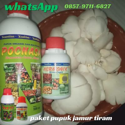 WA 0857 9711 6827 Jual Pupuk Jamur Tiram Poc Nasa di Sragen