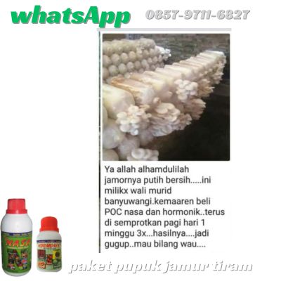 WA 0857 9711 6827 Pupuk Organik Untuk Jamur Tiram di Batu