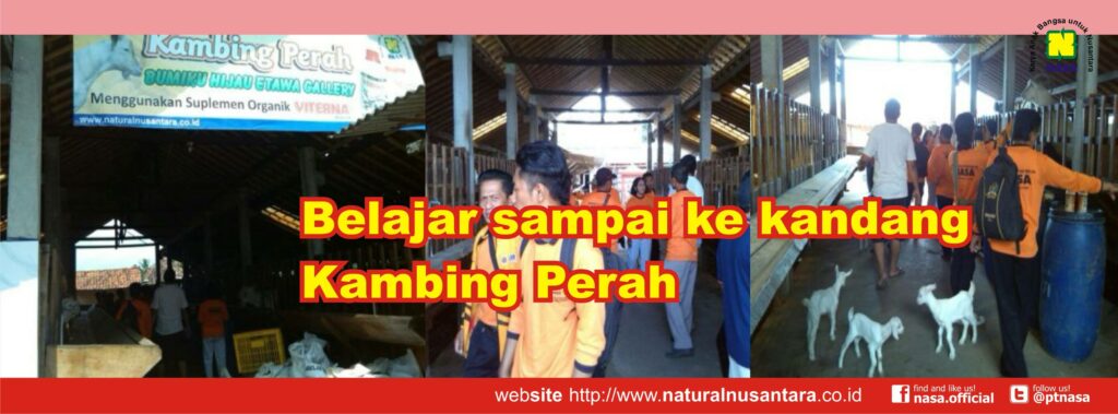 Jual Pupuk Organik Nasa di 
Pulau Punjung 0852-1769-2003