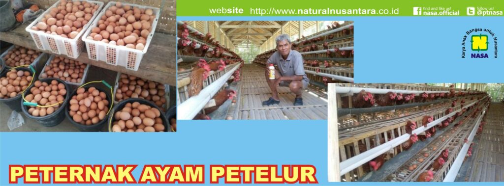 Jual Pupuk Organik Nasa di 
Pasaman Barat 0812-6692-8767