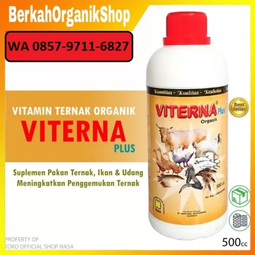 WA 0857 9711 6827 | Agen  Nutrisi  Penggemukan Ternak Babi di Salak