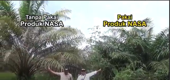 Rahasia Pupuk Organik  Cair Nasa di Pati