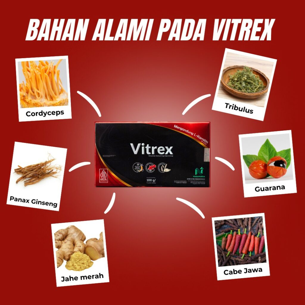 Agen Kopi Vitrex Obat Kuat Penambah Stamina Pria  di 
Watansoppeng